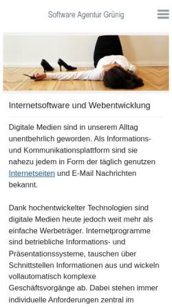 Vorschau der mobilen Webseite gruenig-software.de, Software Agentur, Hanns-Peter Grünig