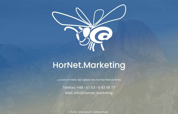 Vorschau von www.hornet-webdesign.de, Hornet, Manuel Horne