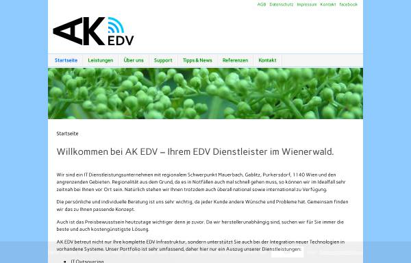 Vorschau von akedv.at, AK EDV - EDV Dienstleistungen, Alexander Kartusch