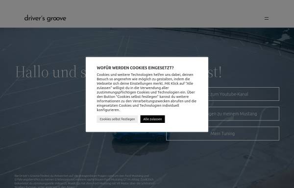 Vorschau von driversgroove.com, Drivers Groove