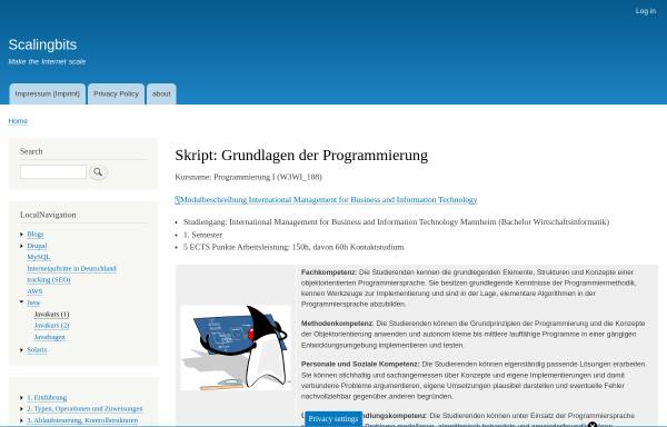 Vorschau von www.scalingbits.com, Java Programmieren für Anfänger (1. Semester)