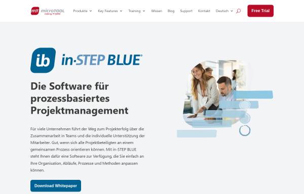 Vorschau von www.microtool.de, In-Step Blue