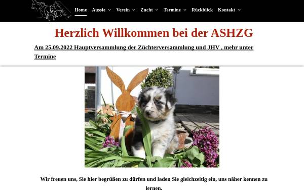 Vorschau von www.ashzg.de, ASHZG - Australian Shepherd Hütehunde Zuchtgemeinschaft
