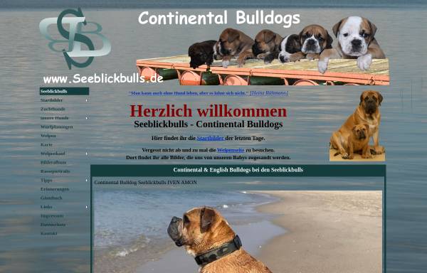 Vorschau von www.seeblickbulls.de, Seeblickbulls