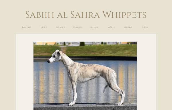 Vorschau von www.sabiih-al-sahra.com, Sabiih al Sahra Sloughis und Whippets