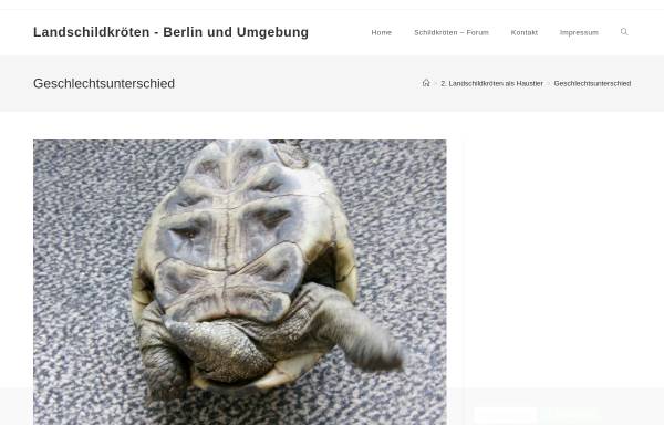 Landschildkröten-Berlin.de