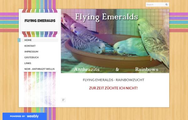 Vorschau von rainbow-wellensittiche.weebly.com, Flying Emeralds - Rainbow Wellensittiche