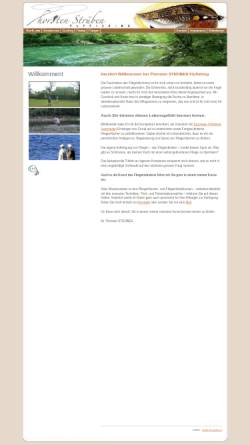 Vorschau der mobilen Webseite www.thorsten-strueben.de, Thorsten Strüben Flyfishing