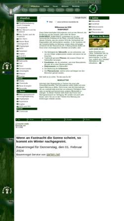 Vorschau der mobilen Webseite www.rainforest-newsletter.de, Rainforest Newsletter e. V.