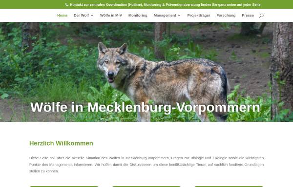 Vorschau von wolf-mv.de, Wölfe in Mecklenburg-Vorpommern