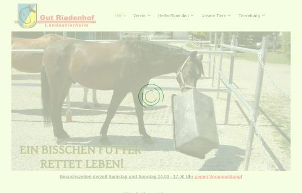 Vorschau von www.landestierheim.at, Tierheim Gut Riedenhof