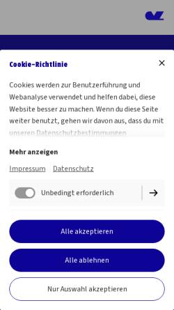 Christian Mehlmauer-Ziesler, Organisationsberatung