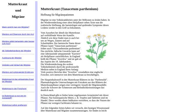 Vorschau von www.tanacetum.de, Mutterkraut -Tanacetum parthenium