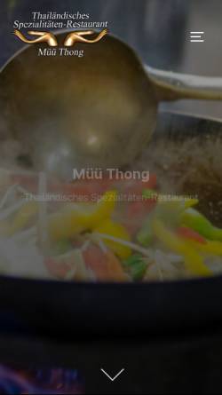 Vorschau der mobilen Webseite mueuethong.de, Müü Thong