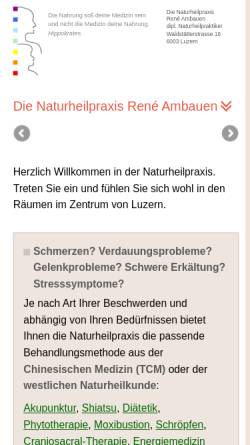 Vorschau der mobilen Webseite www.die-naturheilpraxis.ch, René Ambauen