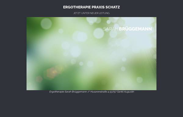 Vorschau von www.ergotherapie.praxis-schatz.de, Ergotherapie Praxis Johannes Schatz