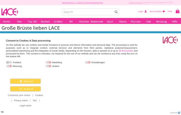 Vorschau von www.lace.de, Lace GmbH