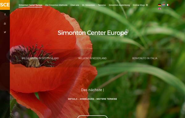 Vorschau von www.simonton.de, Simonton Methode