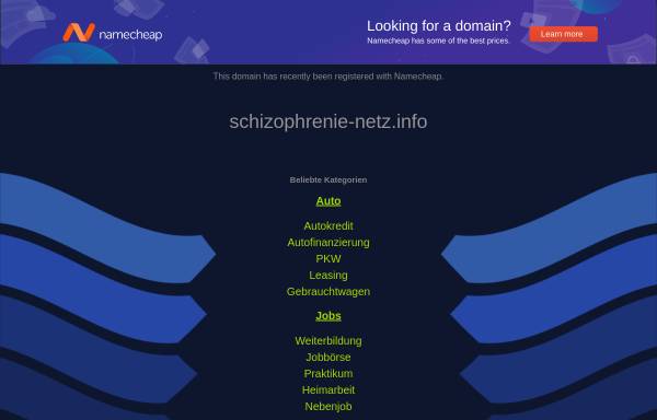 Schizophrenie-Netz