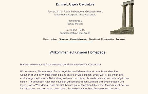Vorschau von www.gyn-merzig.de, Dr. med. Margareta Kirsch und Dr. Angela Cacciatore-Hoffmann