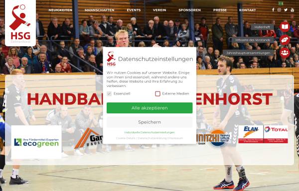 Vorschau von www.hsg-delmenhorst.de, Handball-Spielgemeinschaft Delmenhorst