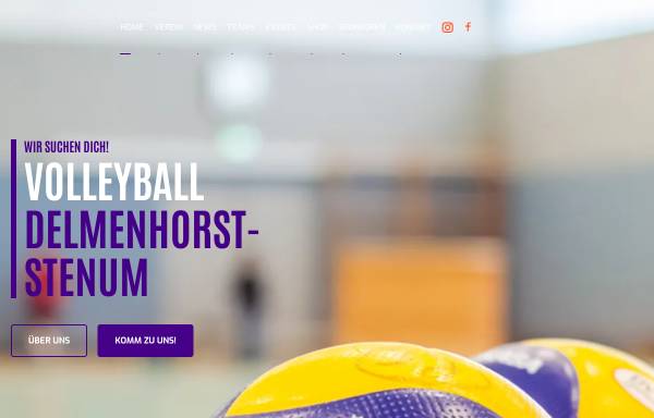 Vorschau von www.delbergum.de, Volleyballgemeinschaft Delmenhorst-Hasbergen-Stenum