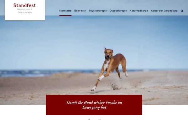 Vorschau von www.standfest-hundephysio.de, Standfest Hundephysiotherapie