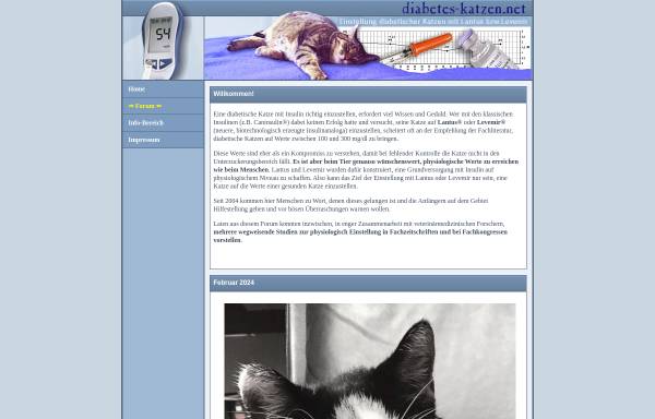 Vorschau von www.diabetes-katzen.net, Diabetes Katzen: Einstellung mit Lantus und Levemir