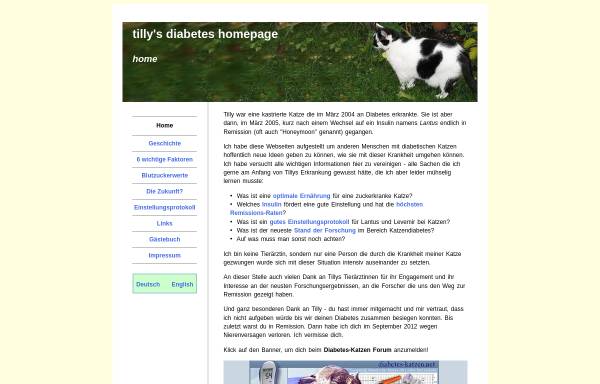 Vorschau von www.tillydiabetes.net, Tilly's Diabetes Homepage
