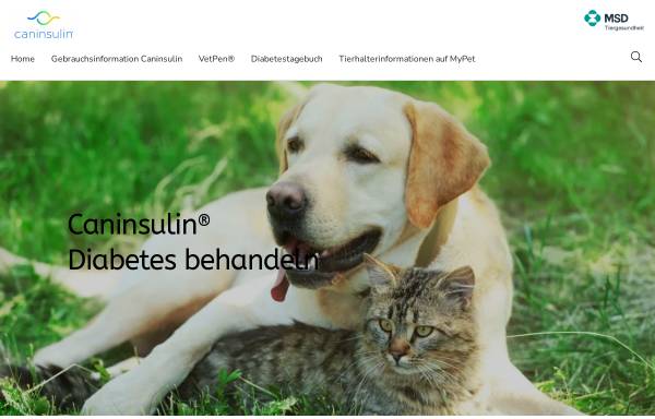 Vorschau von www.caninsulin.de, Diabetes mellitus bei Katzen
