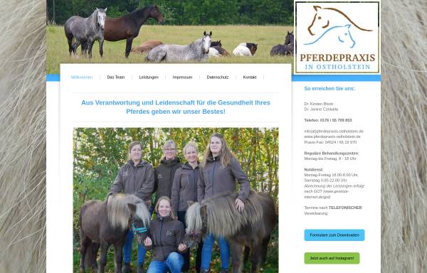 Vorschau von www.pferdepraxis-block-junge.de, Dr. med. vet. Kirsten Block und Dr. med. vet. Janine Czekalla