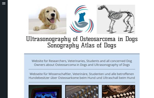 Vorschau von sarcoma-ultrasonography.jimdo.com, Osteosarkom beim Hund