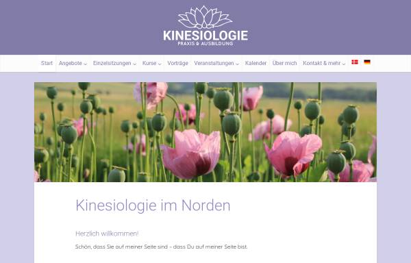 Vorschau von kinesiologienord.de, Birgit Clausen Bilde