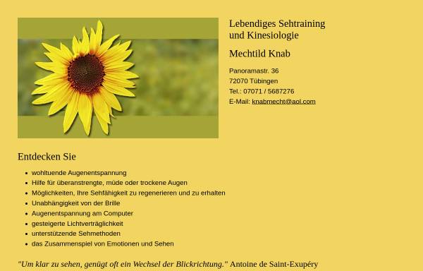 Vorschau von www.lebendiges-sehtraining.de, Mechtild Knab - Augentraining und Kinesiologie