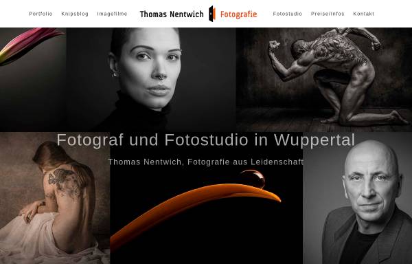 Vorschau von www.tnfoto.de, Nentwich, Thomas