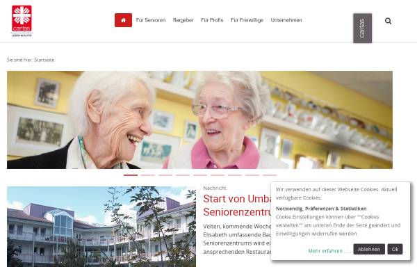 Vorschau von www.caritas-pflegedienste.de, Caritas Sozialstationen