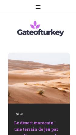 Vorschau der mobilen Webseite www.gateofturkey.com, Gate of Turkey