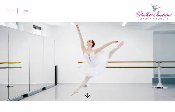 Vorschau von www.ballett-institut.de, Ballett-Institut Leandra Hagendorn