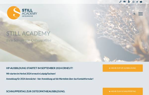 Vorschau von www.still-academy.de, Still Academy