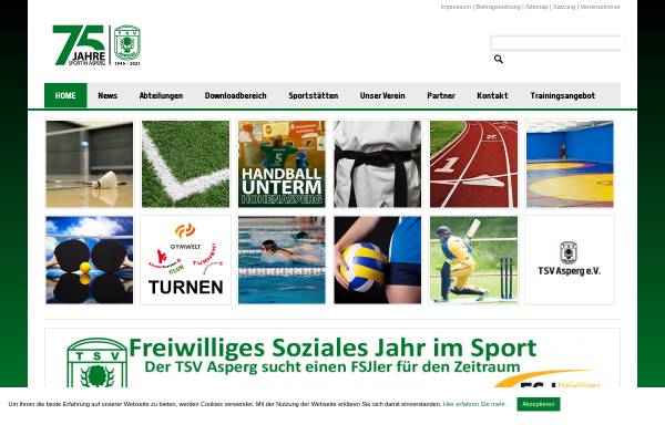 Vorschau von www.tsv-asperg.de, TSV Asperg