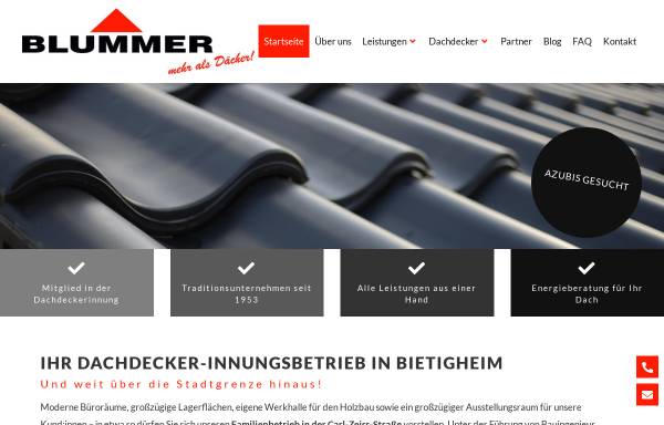 Vorschau von www.blummer.de, Dachdecker Blummer GmbH & Co.KG