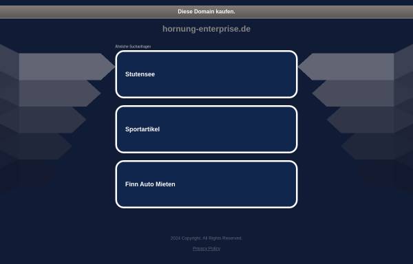 Vorschau von www.hornung-enterprise.de, Hornung Service Enterprise