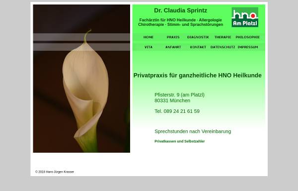 Vorschau von www.hno-am-platzl.de, HNO Praxis am Platzl