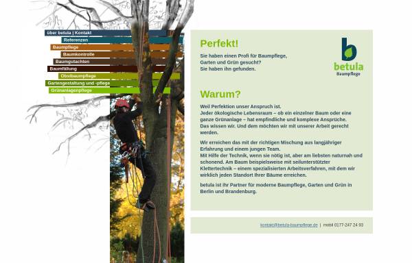 Vorschau von www.betula-baumpflege.de, betula Baumpflege, Martin Blancke