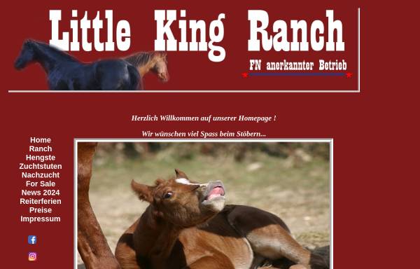 Vorschau von www.littlekingranch.de, Little King Ranch - Stephan u. Heike Karbe