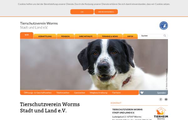 Vorschau von www.tierheimworms.de, Tierschutzverein Worms Stadt und Land e.V.