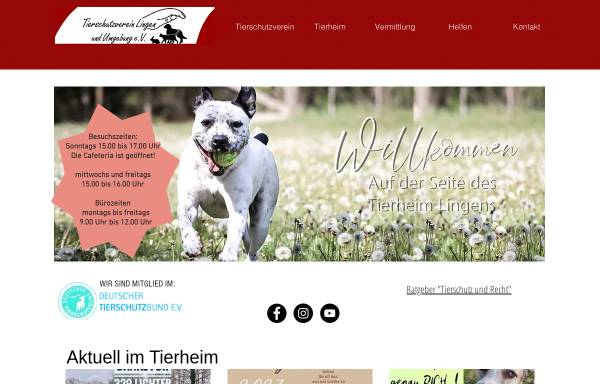 Vorschau von www.tierschutzverein-lingen.de, Tierschutzverein Lingen und Umgebung e. V.