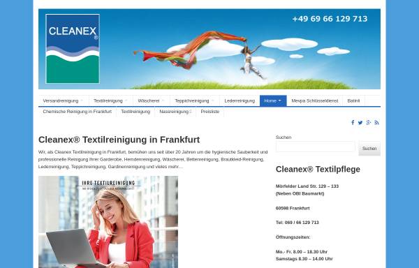 Vorschau von cleanex.de, Cleanex Versandreinigung