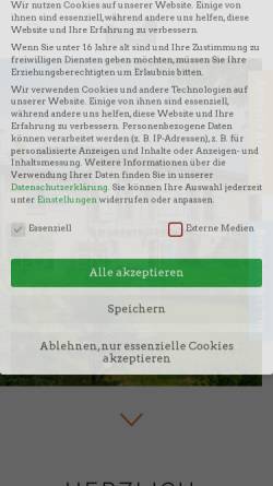 Vorschau der mobilen Webseite backsteinhus.de, Ferienwohnungen Stein