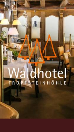 Waldhotel Tropfsteinhöhle